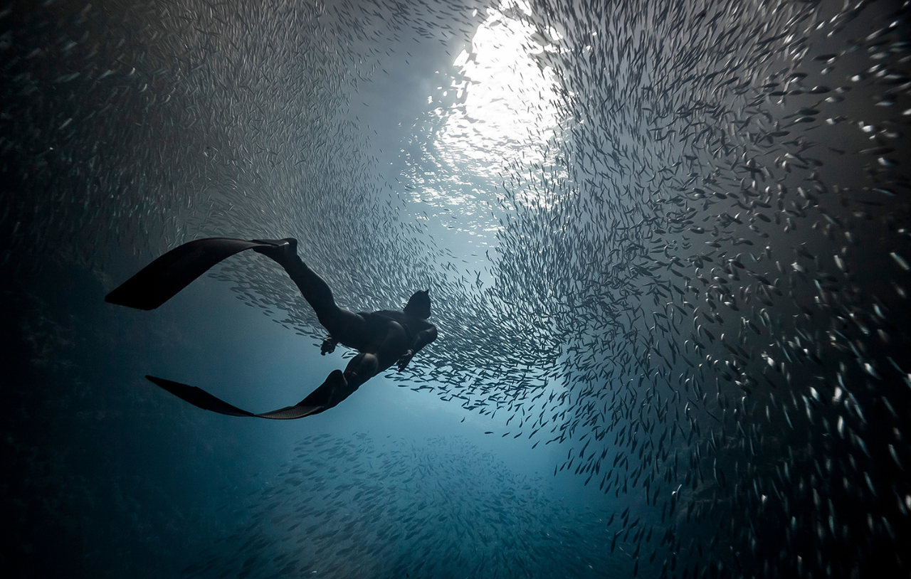 Freediver